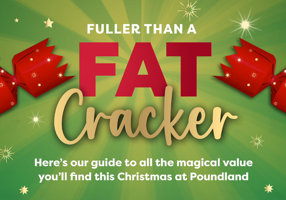 Poundland's 2024 Guide to Christmas Value