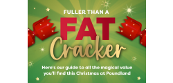 Poundland's 2024 Guide to Christmas Value